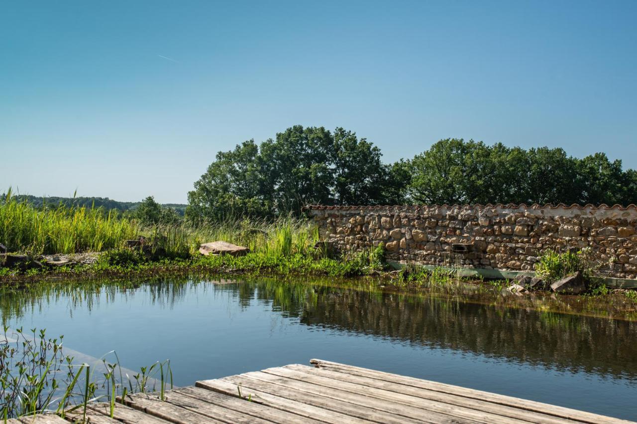 Le Domaine De Langlardie Soudat Экстерьер фото