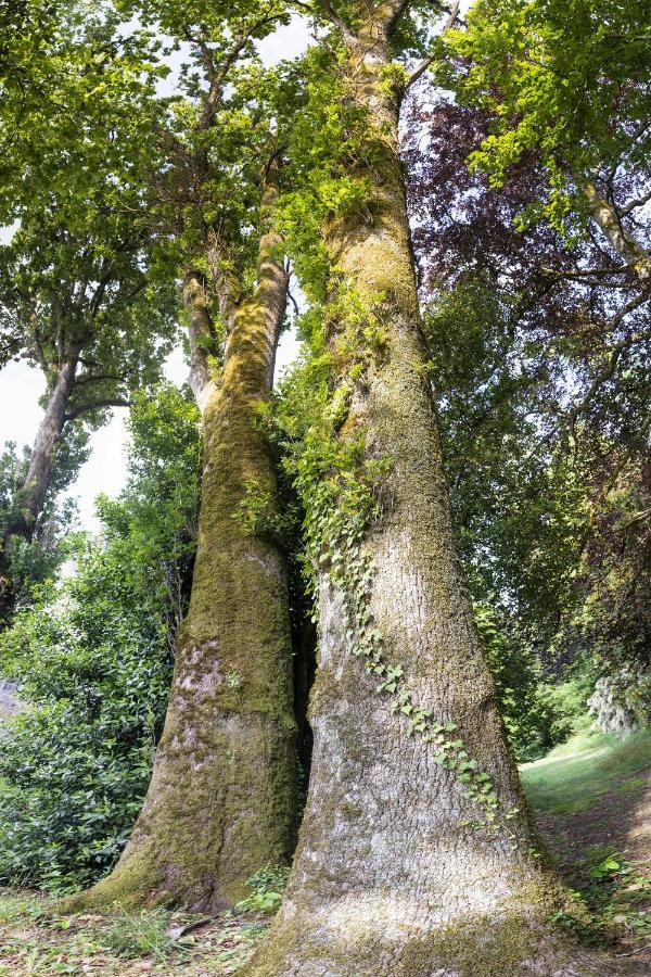 Le Domaine De Langlardie Soudat Экстерьер фото